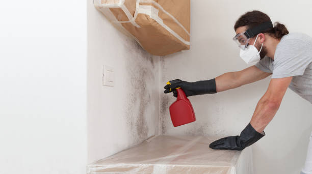 Professional Bathroom Mold Removal technician working in Schooleys Mountain, NJ